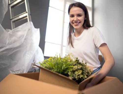 Como transportar plantas na mudança?